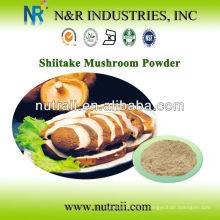 Порошок травяного порошка Shiitake Powder или грибной порошок Шиитаке